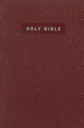 Picture of Niv-Gift & Award Bible-P/C,Bg