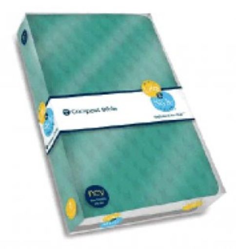 Picture of S-Ncv-Nels L&S Comp Bible