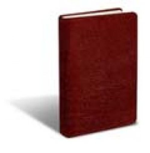 Picture of The Message Bible Large Print Numbered Bg