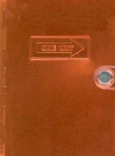 Picture of Nlt-Metal Bible-One Way