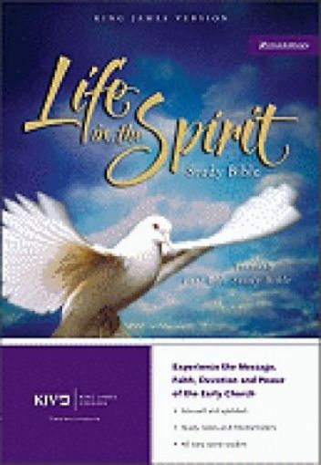 Picture of Kjv Life In The Spirit  Bible Burgundy