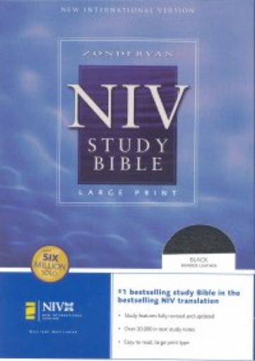 Picture of The Niv Study Bible Black