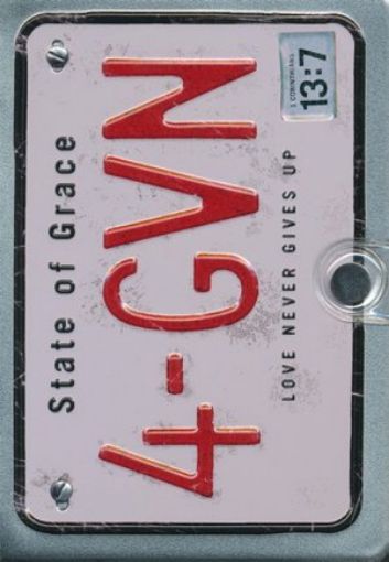 Picture of NLT METAL BIBLE -STATE OF GRACE