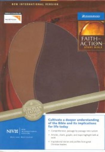Picture of Niv-Faith-Action St Bible,Mahogany/Acorn