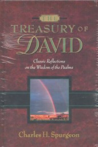 Picture of Treasury Of David