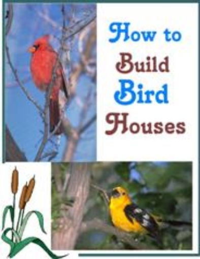 Picture of How to Build Birdhouses