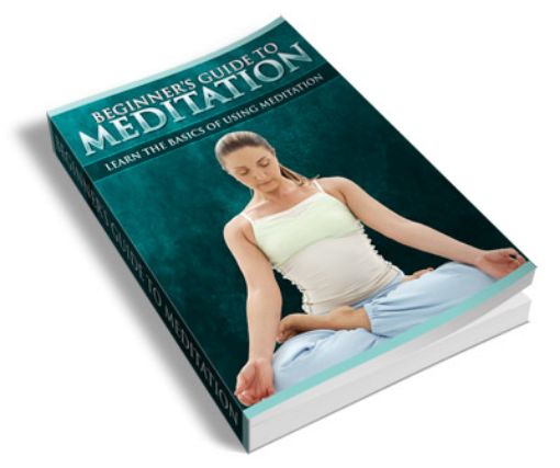 Picture of Beginner's Guide to Meditation