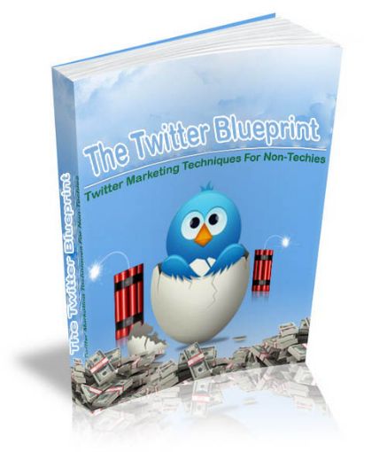 Picture of The Twitter Blueprint