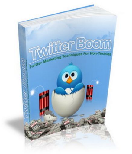 Picture of Twitter Boom