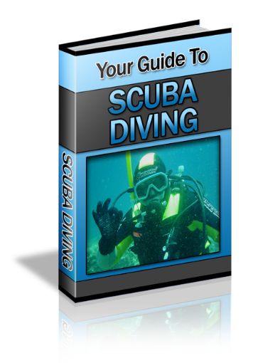 Picture of Your Guide to Scuba Diving