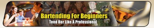 Picture of Bartending for Beginners