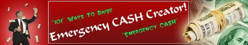 Picture of 101 Ways to Raise Emergency Money