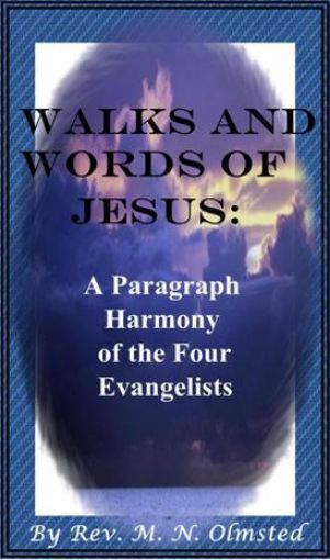 Picture of Walks and Words of Jesus