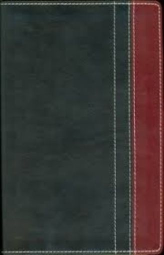 Picture of Niv Thinline Bible- Charcoal/Rich Red