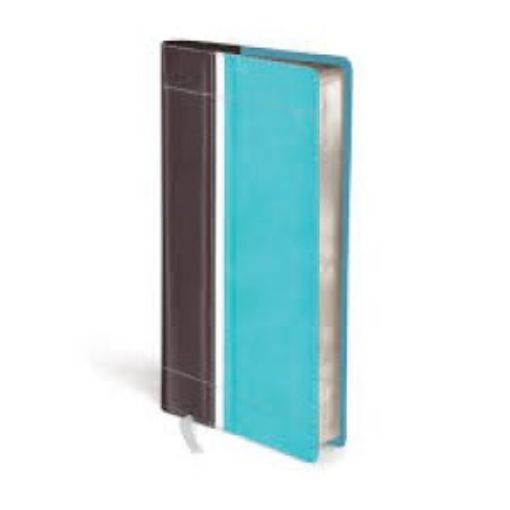 Picture of Niv Trimline Bible- Turq/Choco