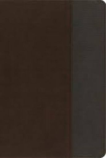Picture of Niv Quest Study Bible Brn/Gry