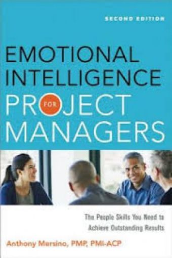 Picture of Emotional Intelligence For Project Managers