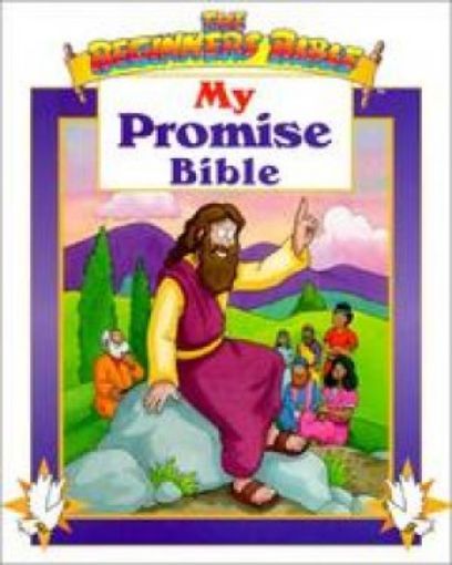 Picture of My Promise Bible