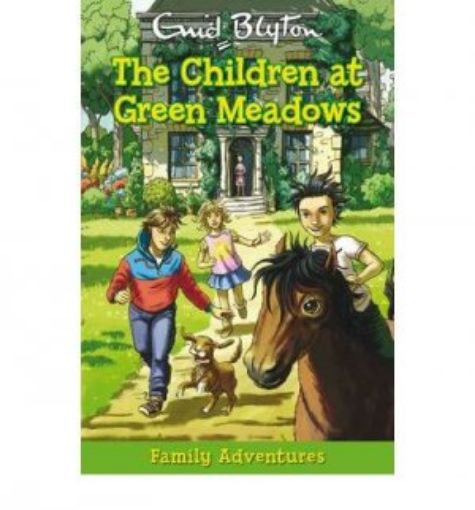 Picture of The Children At Green Meadows