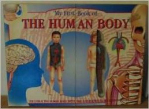Picture of My First Book Of The Human Body