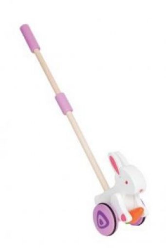 Picture of Bunny Push And Pull
