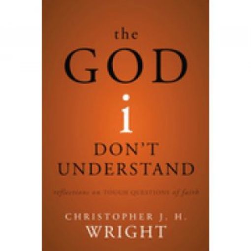 Picture of The God I Don't Understand