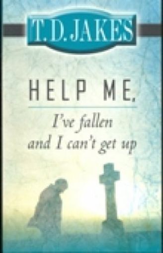 Picture of Help Me,I Have Fallen/Get Up