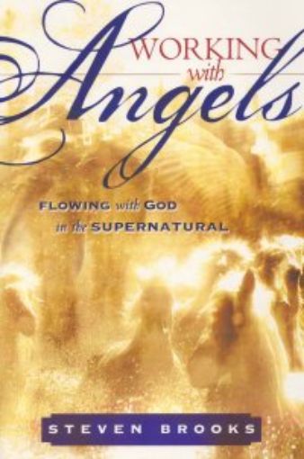Picture of Working With Angels