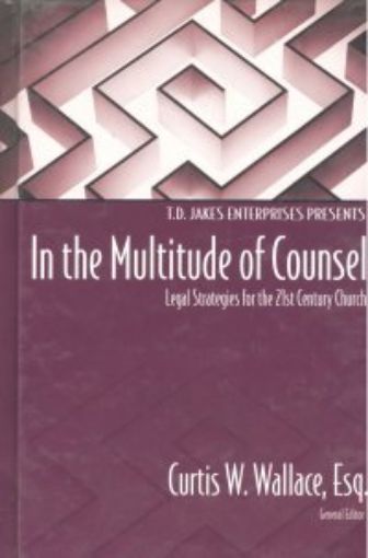 Picture of In The Multitutde Of Counselling