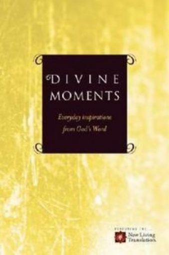 Picture of Divine Moments