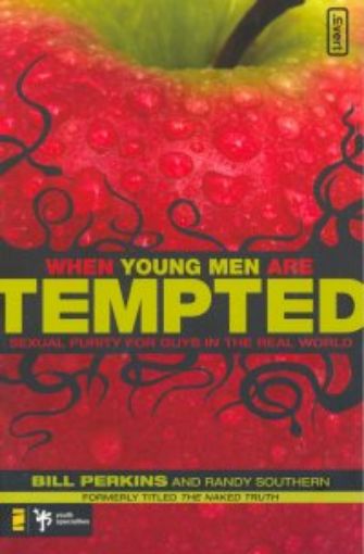 Picture of When Young Men Are Tempted