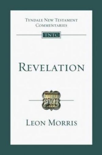 Picture of Revelation: An Introduction And Commentary