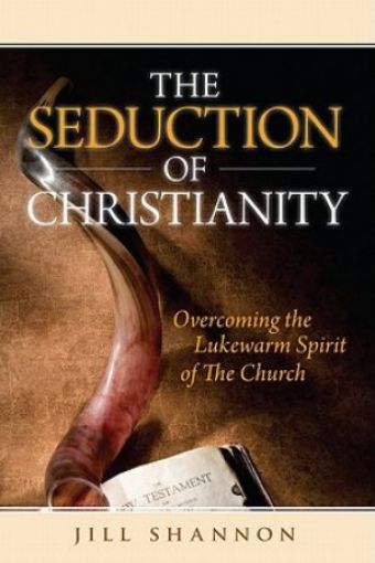 Picture of The Seduction Of Christianity