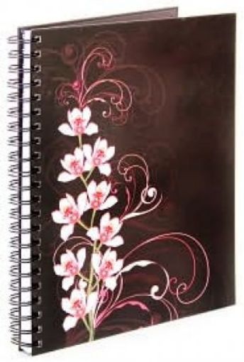Picture of Orchids On Brown - Large