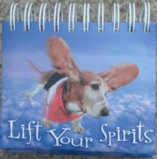 Picture of Lift Your Spirits