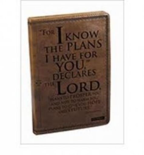 Picture of Jeremiah 29:11