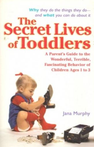 Picture of The Secret Lives Of Toddlers