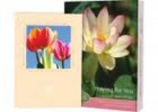 Picture of Boxed Card Asst Praying For You