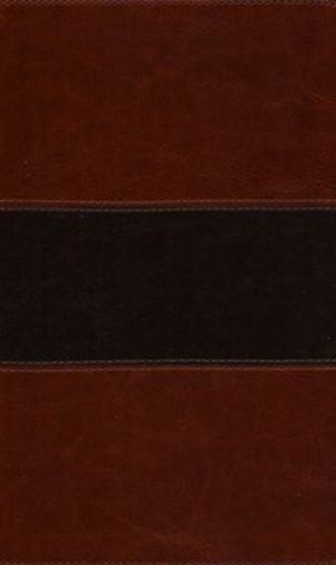 Picture of Kjv Study Bible, Brown/Tan