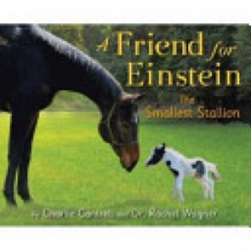 Picture of A Friend For Einstein