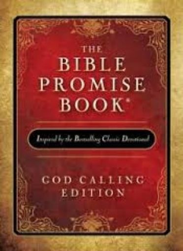 Picture of Bible Promise Book