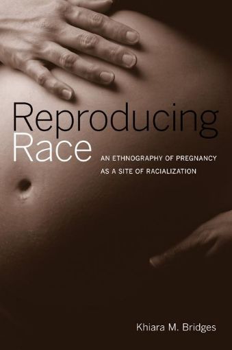 Picture of Reproducing Race: An Ethnography of Pregnancy as a Site of Racialization