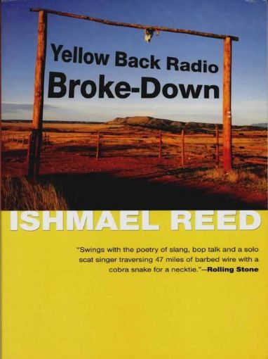 Picture of Yellow Back Radio Broke-Down