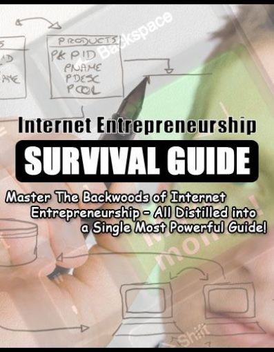 Picture of Internet Entrepreneur Survival Guide