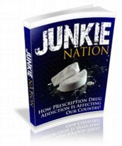 Picture of Junkie Nation