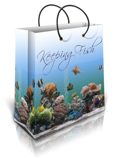 Picture of An Aquarium Primer For Keeping Fresh And Saltwater Fish