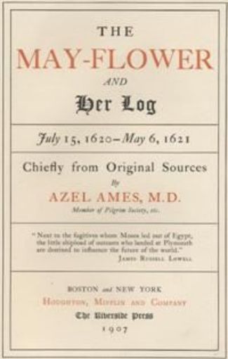 Picture of The May - Flower And Her Log