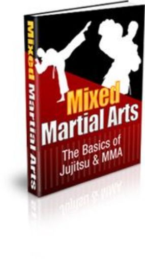 Picture of Mixed Martial Alarts
