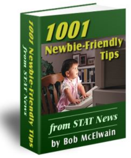 Picture of 1001 Newbie - Friendly Tips