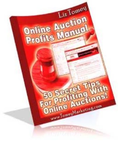 Picture of Online Auction Profits Manual